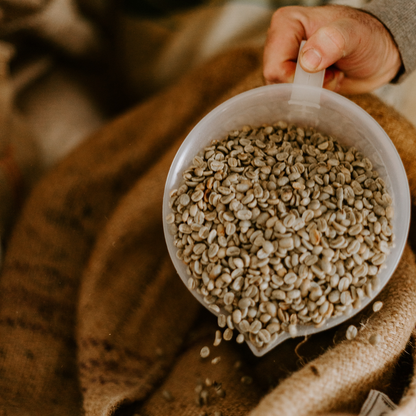 Ethiopia G2 Yirgacheffe
